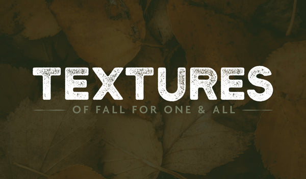 Textures of Fall (Fall Show 2023)