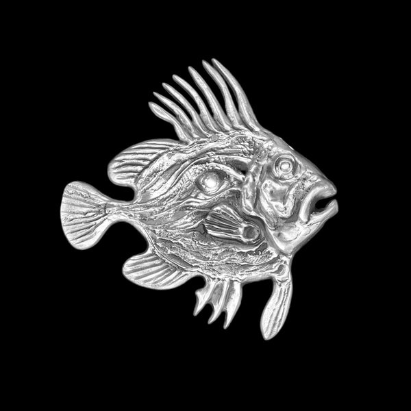 John Dory Fish Wall Hanging
