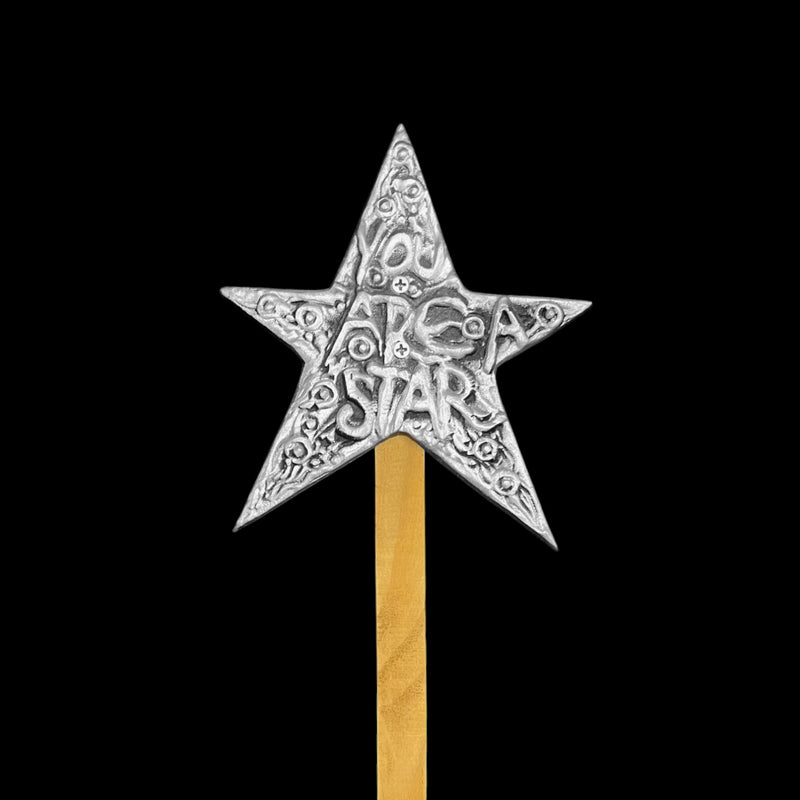 "You are a Star" Garden Stake