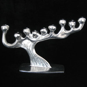 Don Drumm Branch Menorah