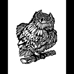 Owl on Branch Print