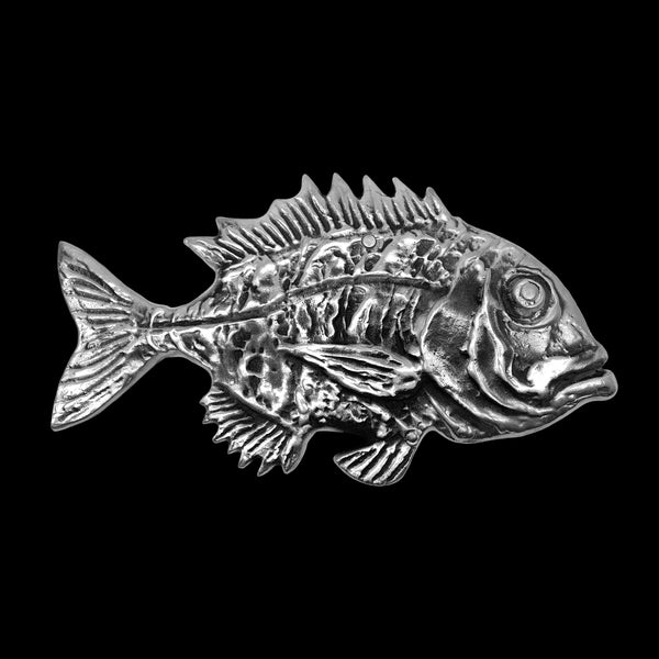 Common Seabream Fish
