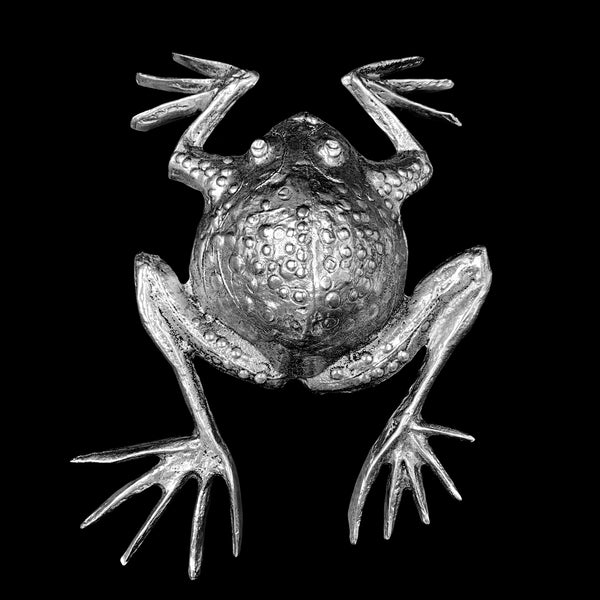 Frog Wall Hanging Sculpture