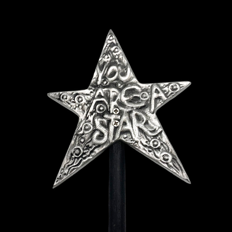 "You are a Star" Garden Stake