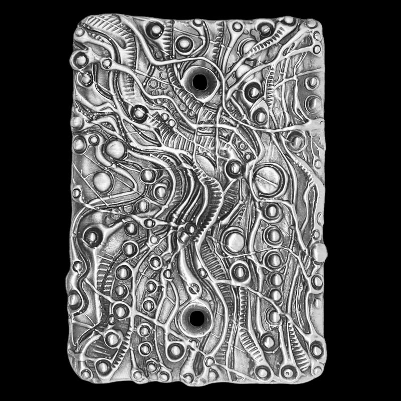 Blank Cover Plate