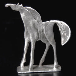 Don Drumm Miniature Horse