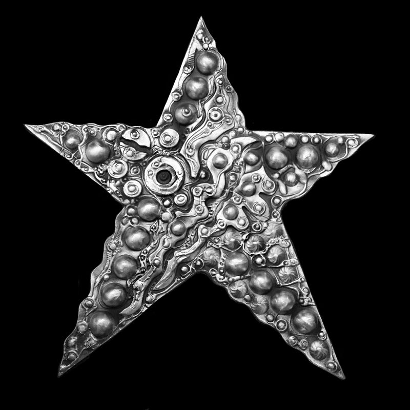 Large Wall Star #1